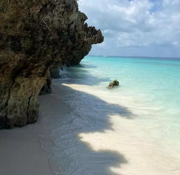 Aamiaismajoitus (B&B) Zuzanu House