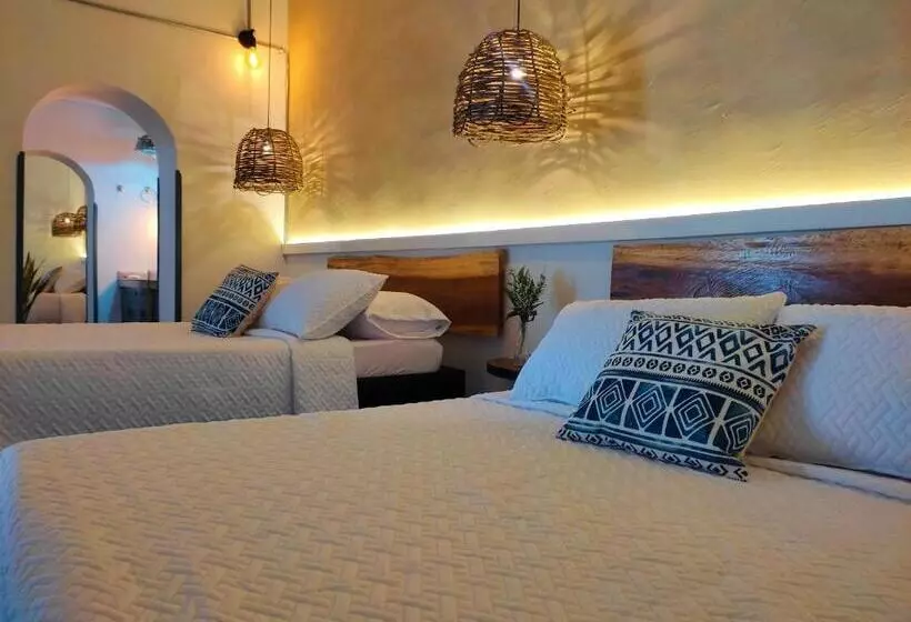 Majatalo Trip Monkey Girón