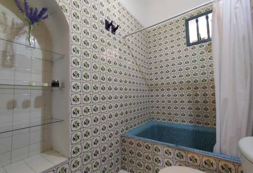 Majatalo Trip Monkey Girón