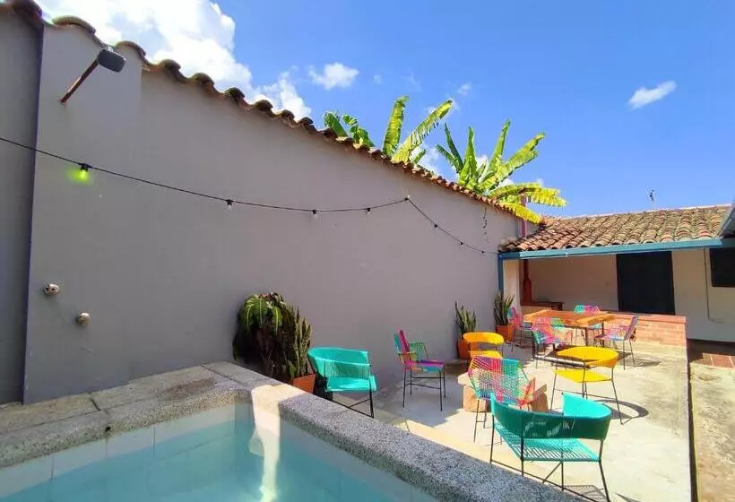 Majatalo Trip Monkey Girón