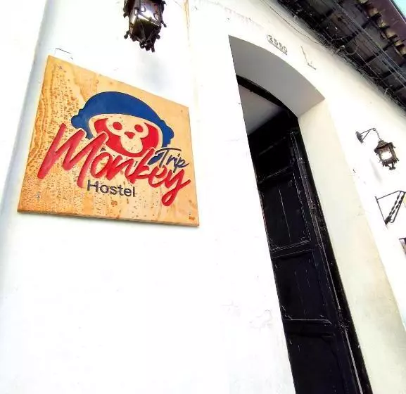 Majatalo Trip Monkey Girón