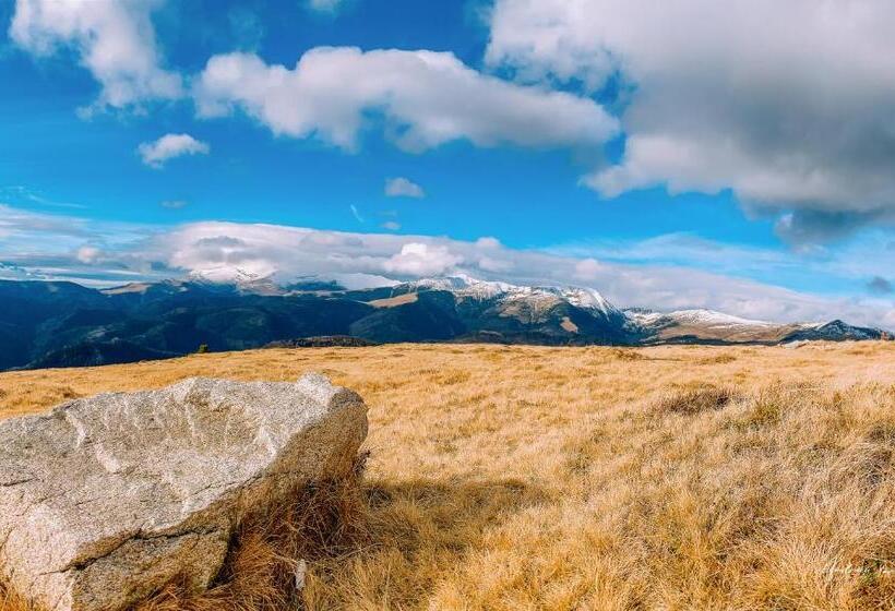 ペンション Vila Belvedere