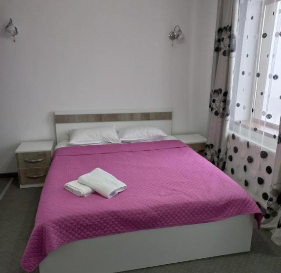 ペンション Vila Belvedere