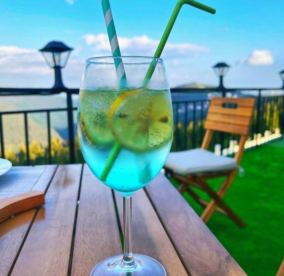 ペンション Vila Belvedere