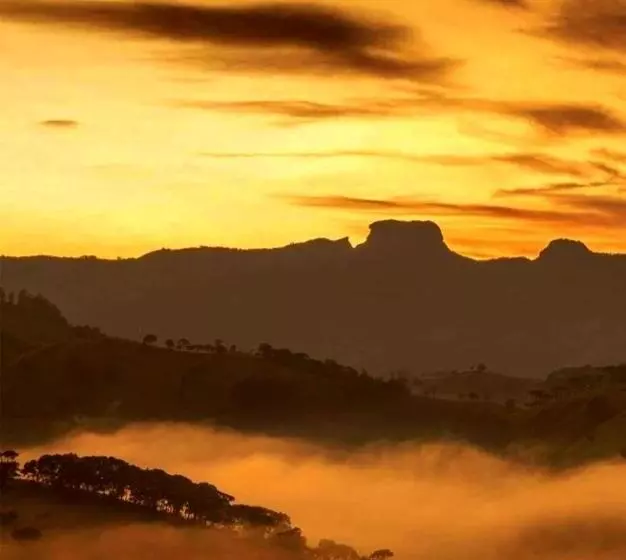 ユースホステル Villa Das Palmeiras Chalés & Camping