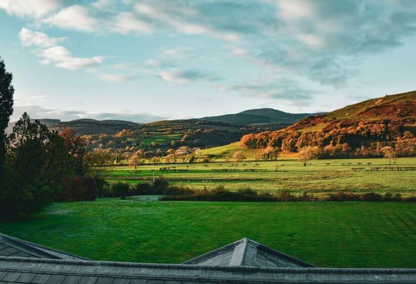 Bed and Breakfast Plas Dolguog