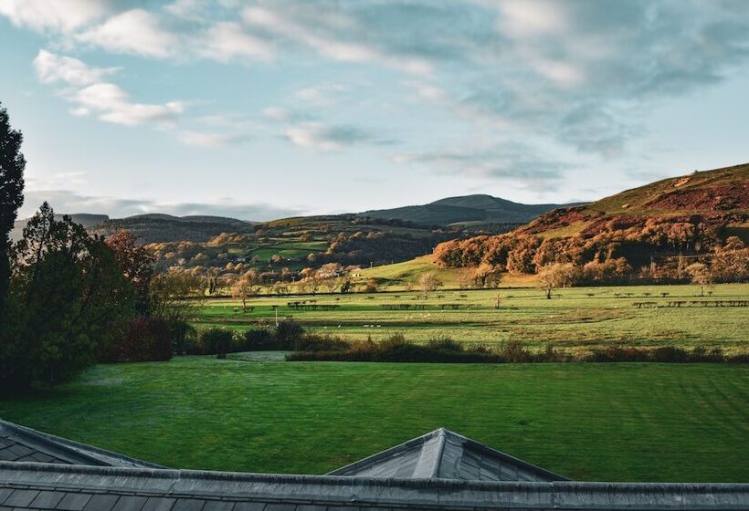 Bed and Breakfast Plas Dolguog