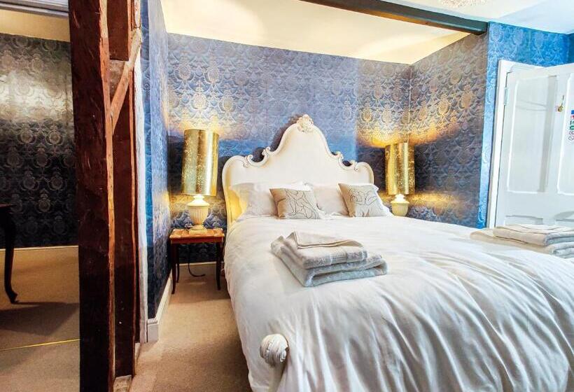 Bed and Breakfast Plas Dolguog