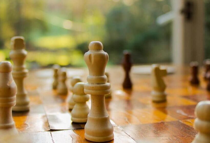 Bed and Breakfast Plas Dolguog