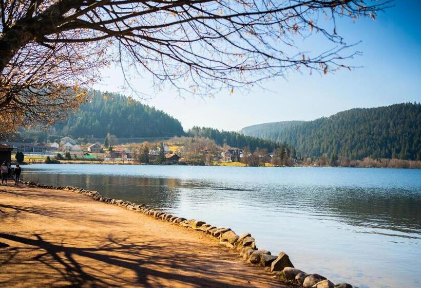 호텔 Céline Hôtel Le Miridan