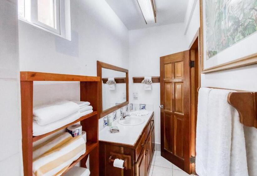 בית מלון כפרי Frangipani 8 At Caribe Island Gold Standard Certified