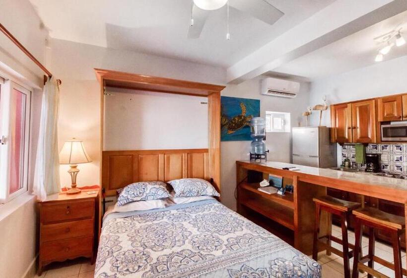 בית מלון כפרי Frangipani 8 At Caribe Island Gold Standard Certified