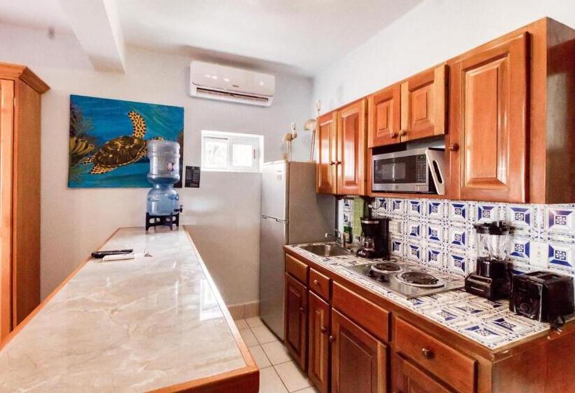 בית מלון כפרי Frangipani 8 At Caribe Island Gold Standard Certified