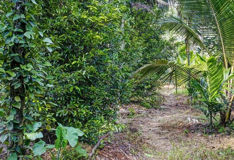 Hotel Spot On 804461 Shalom Palace Residency