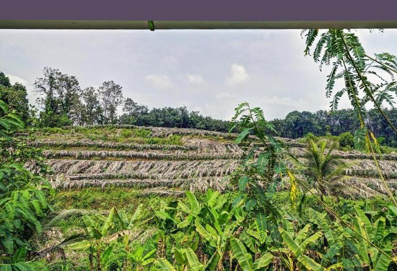 Hotel Spot On 804461 Shalom Palace Residency