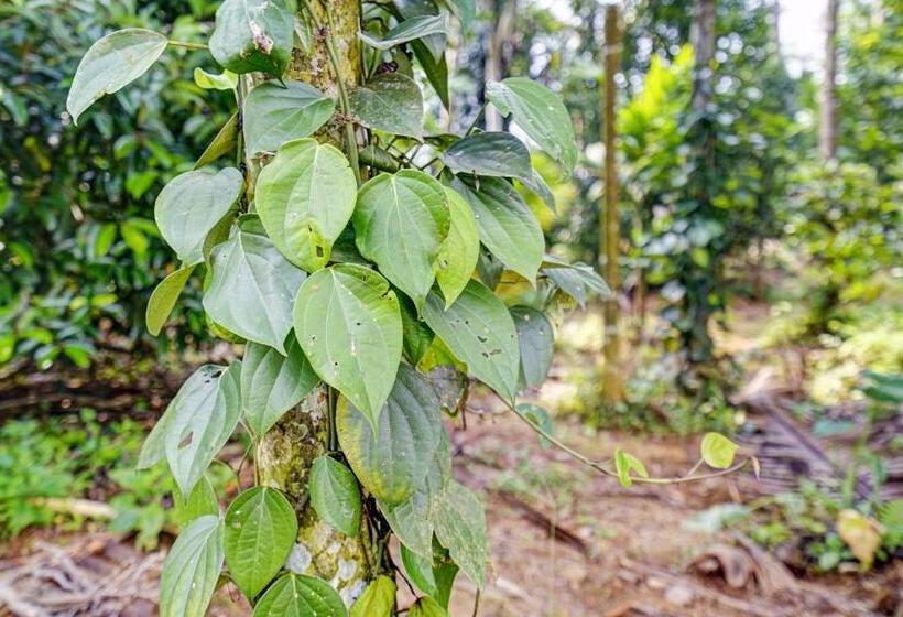 Hotel Spot On 804461 Shalom Palace Residency