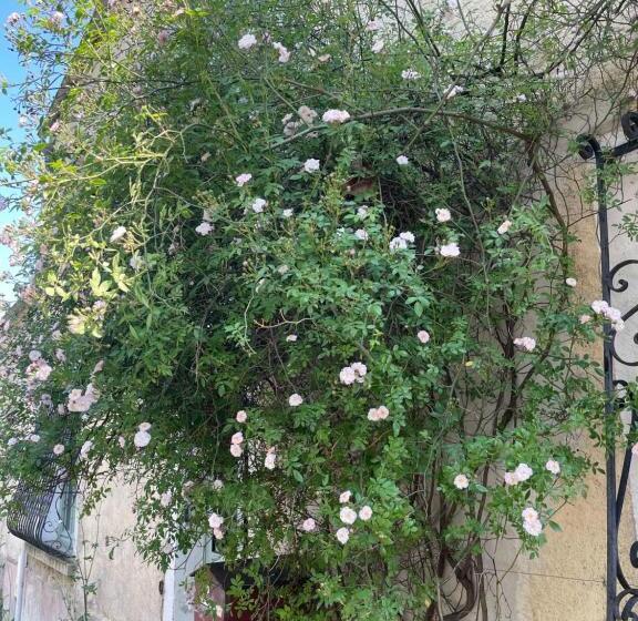 Пансион Chez Katia