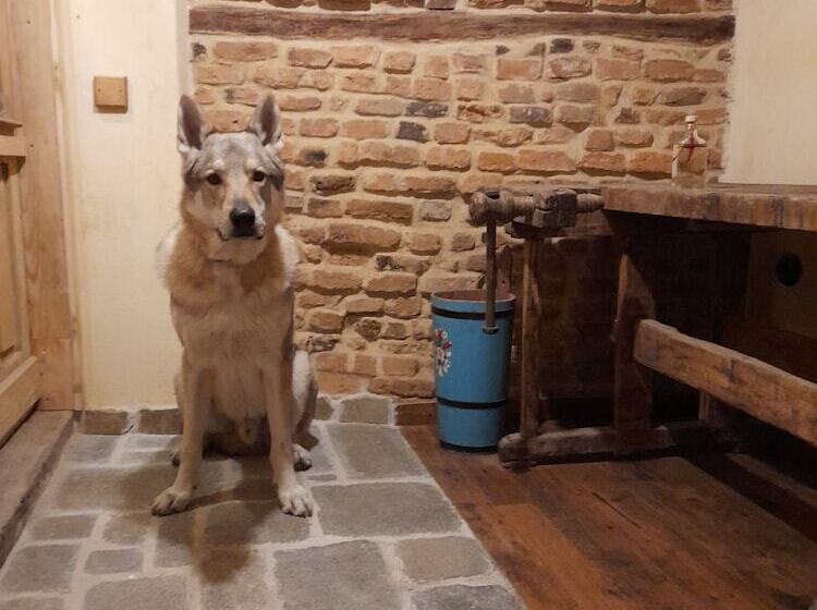 Пансион Michelsberger Haus