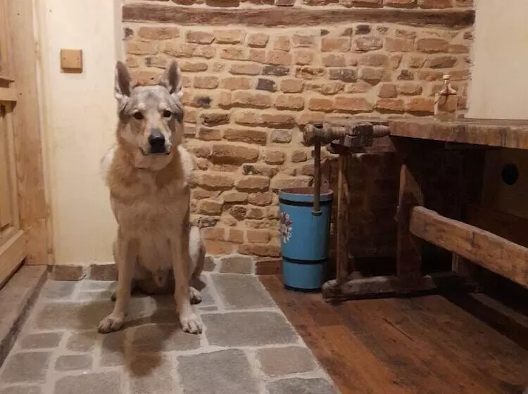 Majatalo Michelsberger Haus