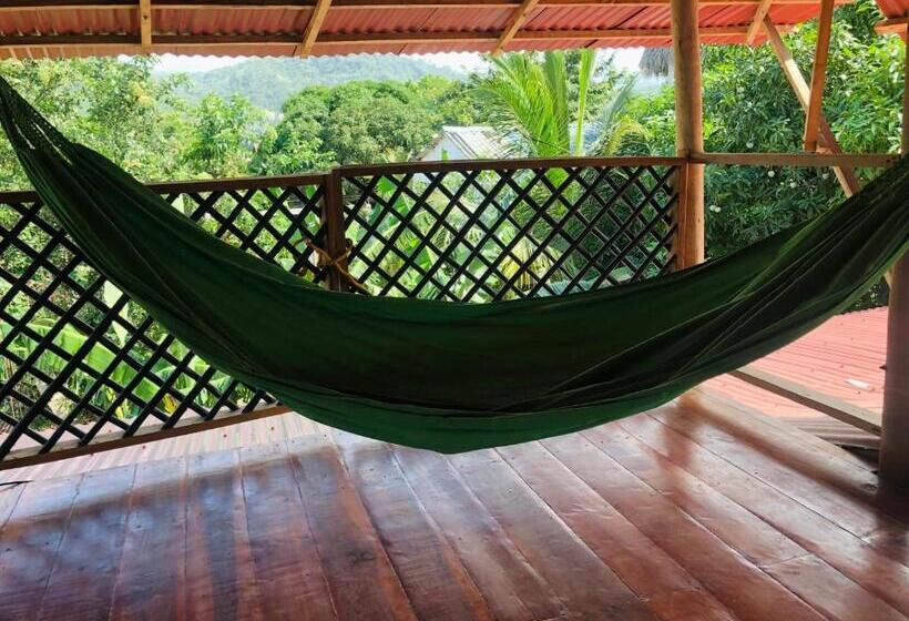 پانسیون Casa Palum Prívate Room Share Bathroom