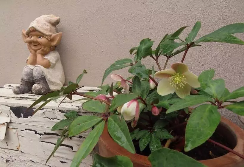 Aamiaismajoitus (B&B) Authentieke Privé Kamer Bij Karen