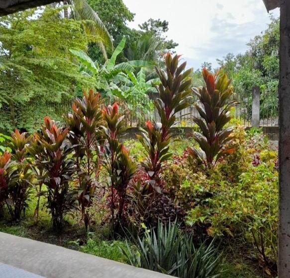 Bed and Breakfast Duma Hostel