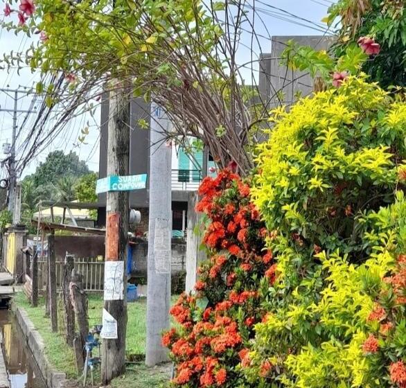 Bed and Breakfast Duma Hostel