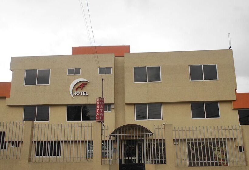 Hotell Hostal La Perla Del Sur