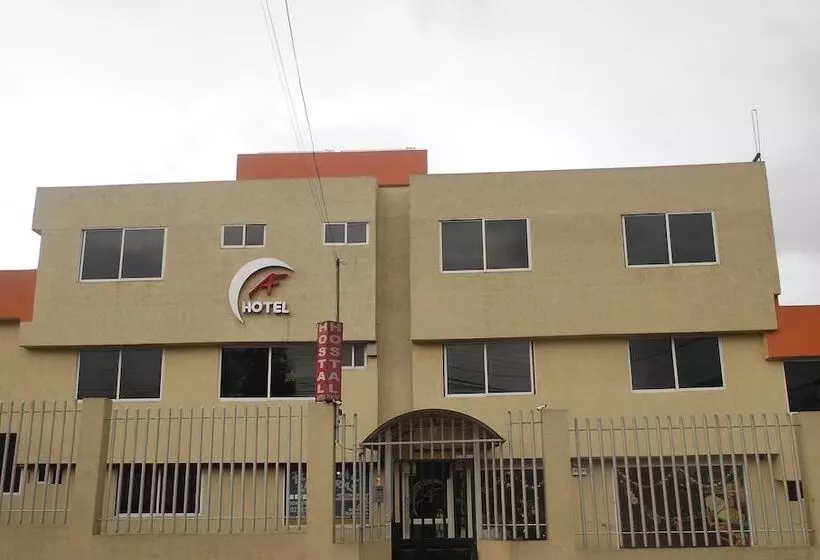 ホテル Hostal La Perla Del Sur