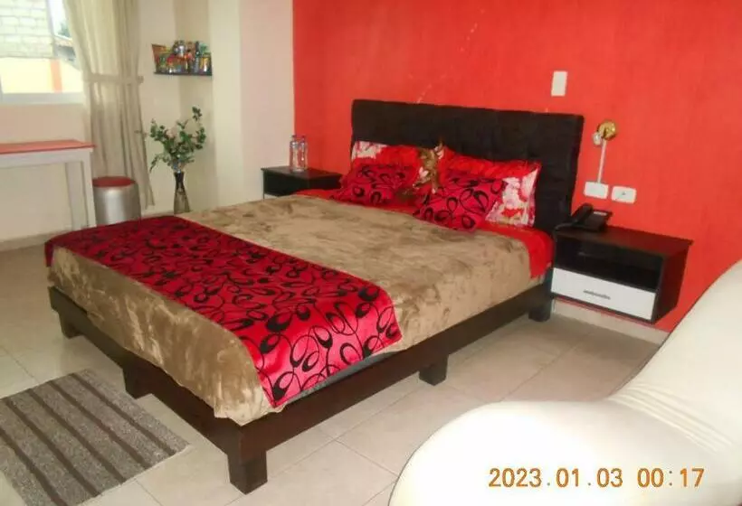 ホテル Hostal La Perla Del Sur