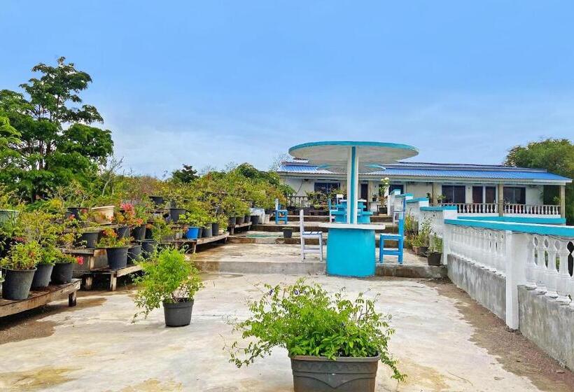 Hotel Oyo 91927 Homestay Kebun