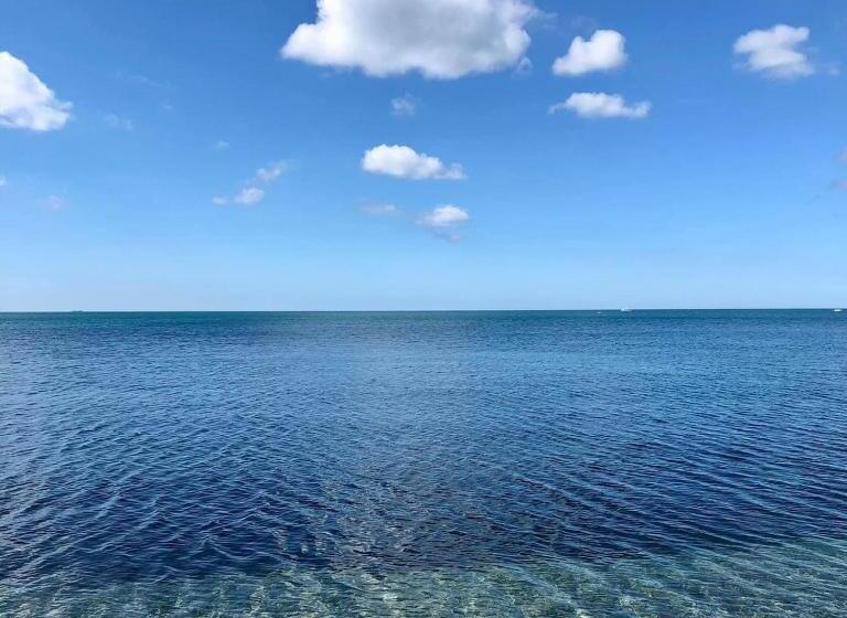 Little Bassett Bed & Breakfast