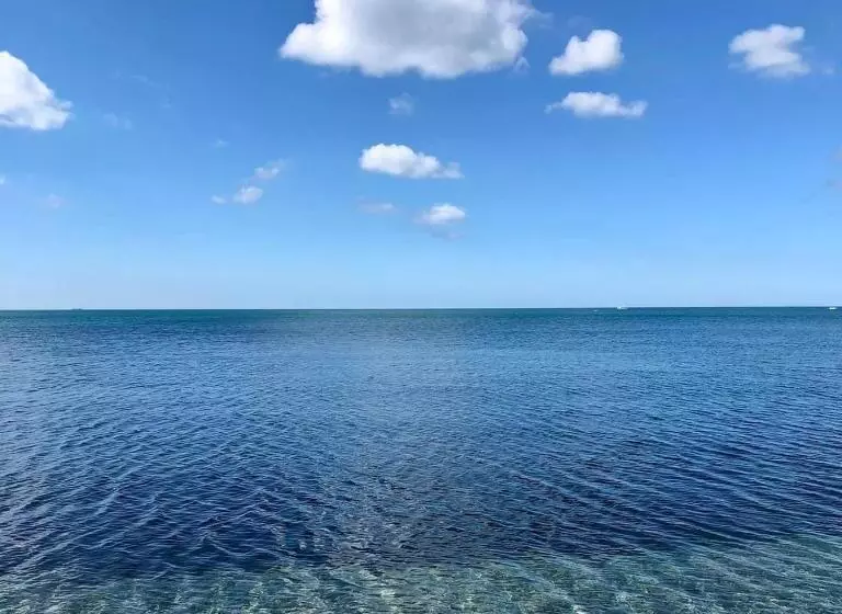 Little Bassett Bed & Breakfast