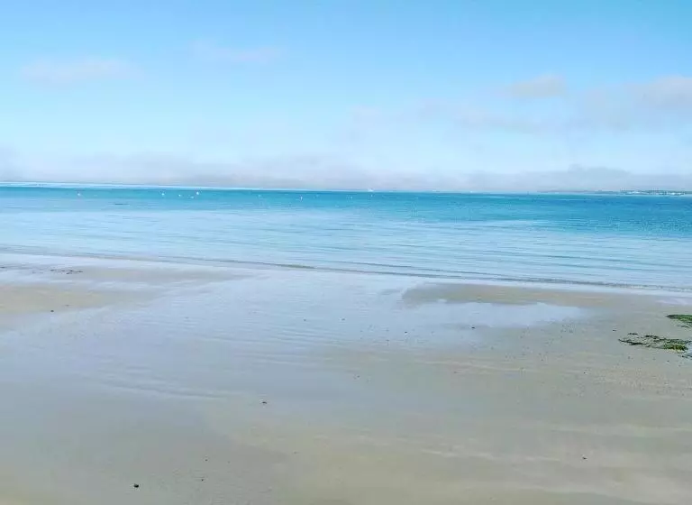 Little Bassett Bed & Breakfast