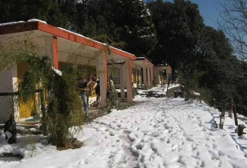 ペンション Room In Lodge   Janardan Resort Pangot, Nainital