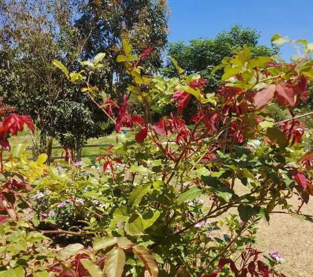 Retkeilymaja Pousada E Pesque E Pague Vista Alegre