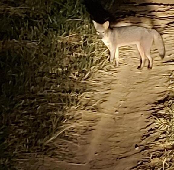 Общежитие Pousada E Pesque E Pague Vista Alegre