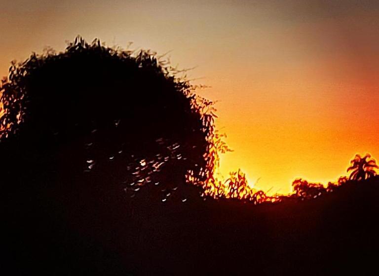 Общежитие Pousada E Pesque E Pague Vista Alegre