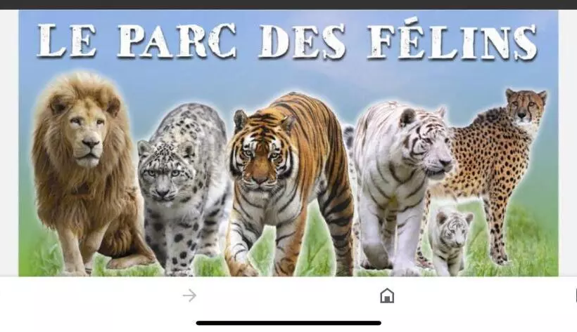 Appart Hôtel 3 Dans Une Résidence De Tourisme