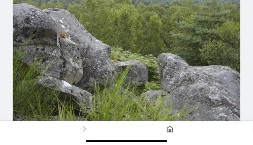 Appart Hôtel 3 Dans Une Résidence De Tourisme