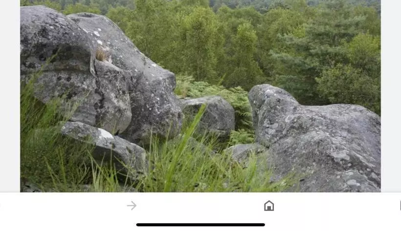 Appart Hôtel 3 Dans Une Résidence De Tourisme