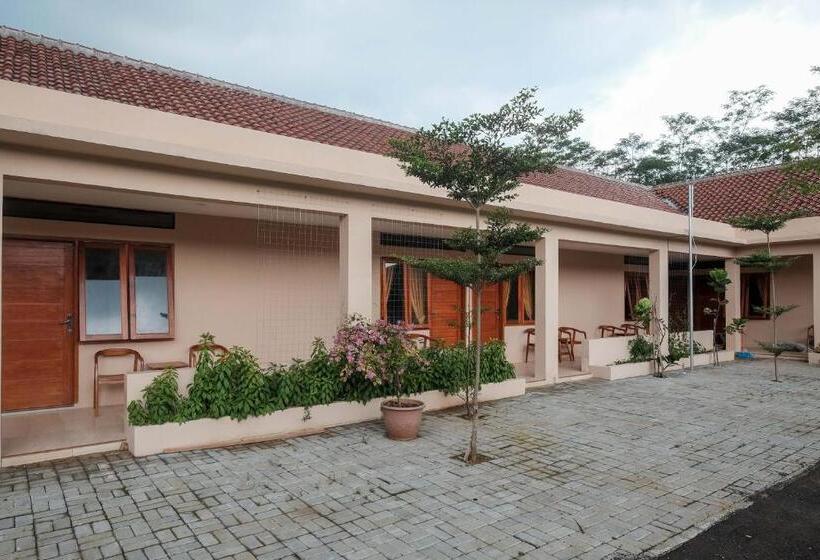 Reddoorz Plus Syariah At Hotel Indonesia Kajen