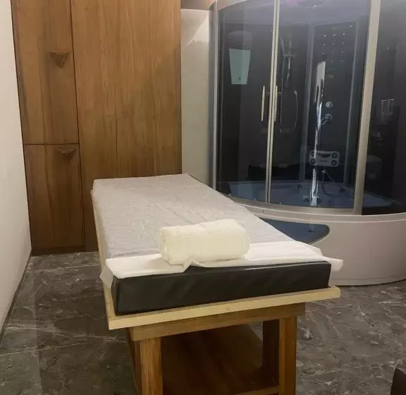 Hotelli Sayaji Morbi