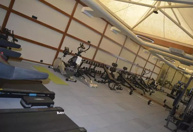 Hotelli Sayaji Morbi