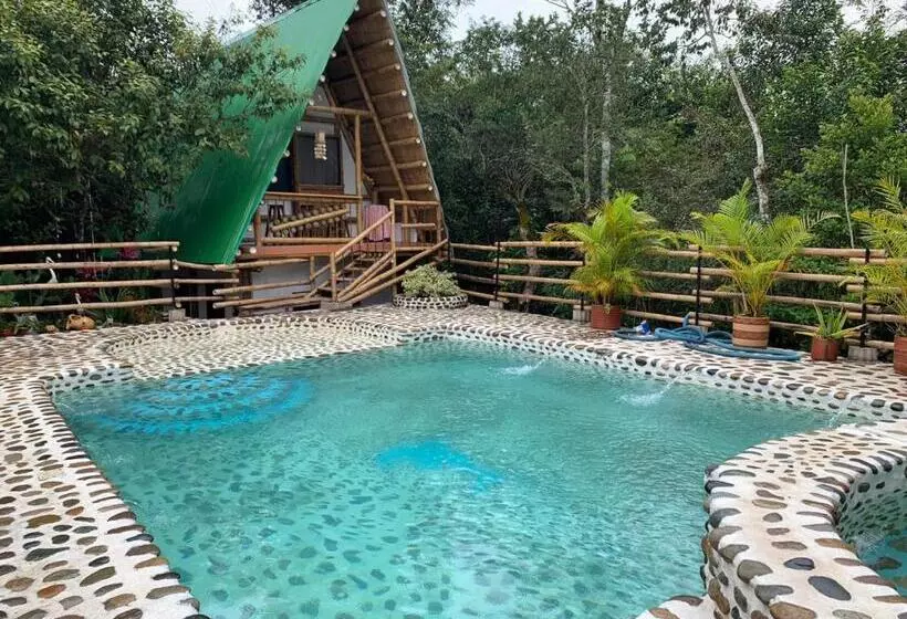 ホテル Villa Anita Acuérdate De Mi