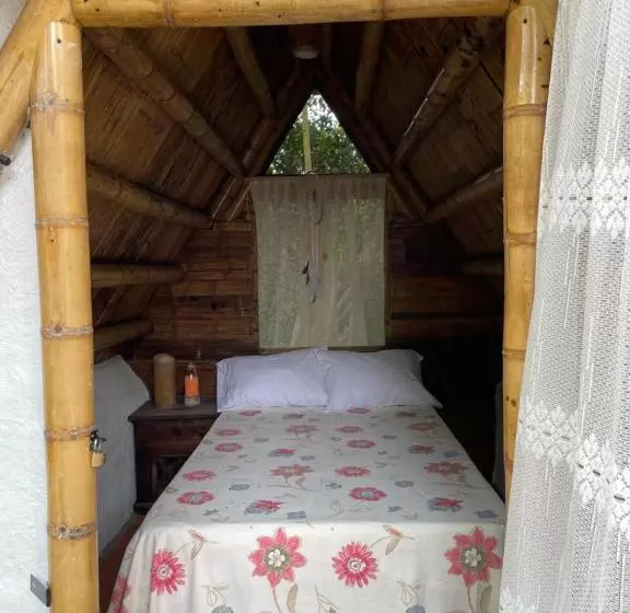 ホテル Villa Anita Acuérdate De Mi