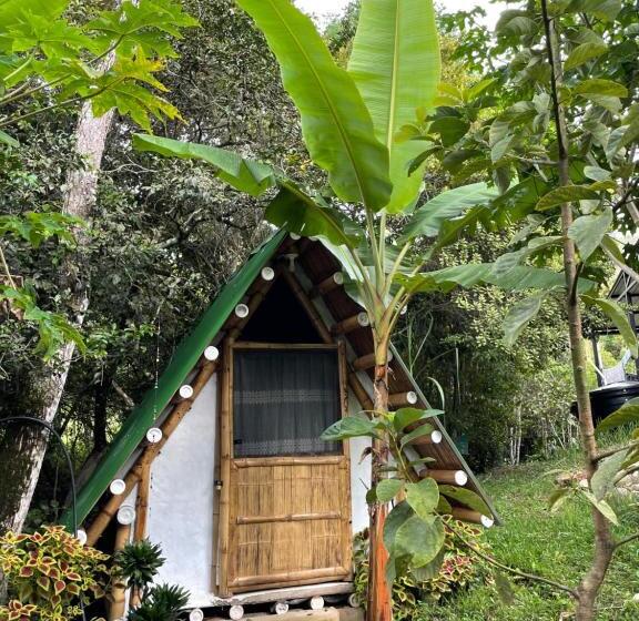 בית מלון כפרי Villa Anita   Acuérdate De Mi