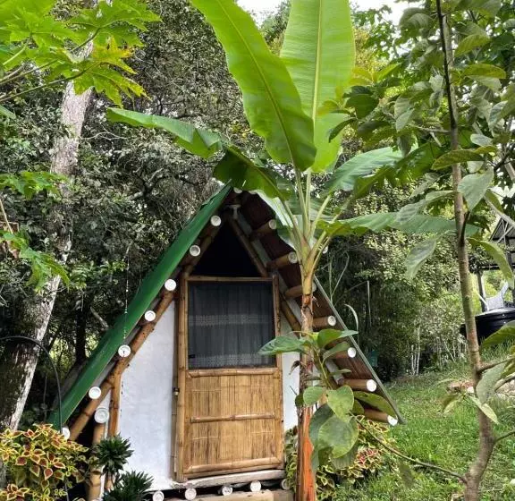 ホテル Villa Anita Acuérdate De Mi