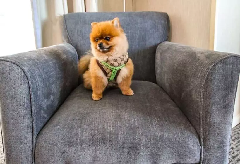 Novotel Puerto Montt