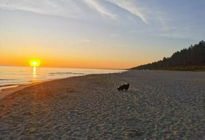 Majatalo Bursztynowa 1